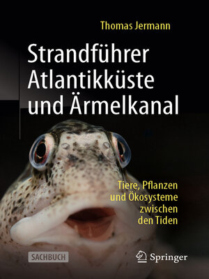 cover image of Strandführer Atlantikküste und Ärmelkanal
